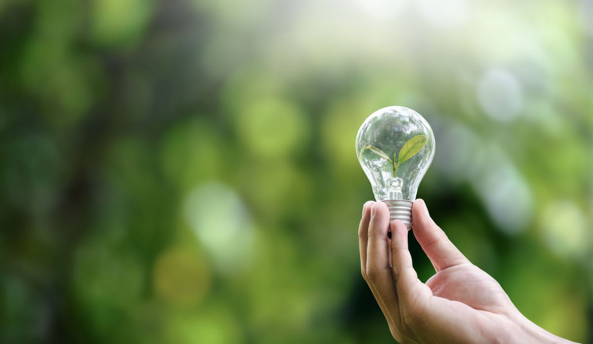 Energiesparen Haushalt: 10 wirksame Maßnahmen