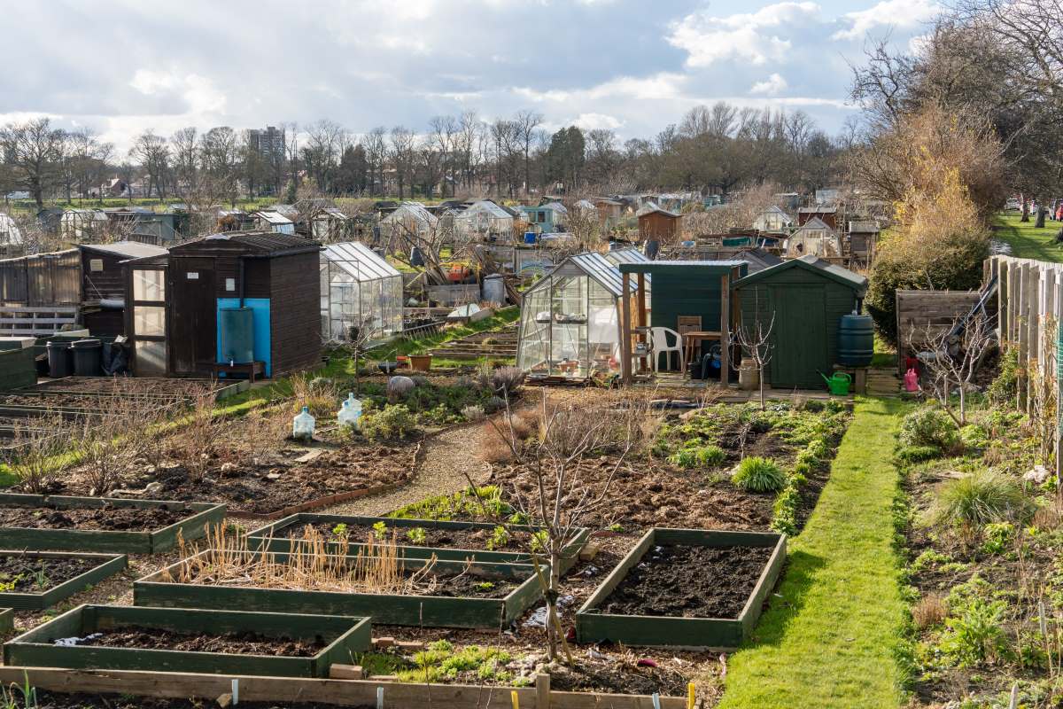 Schrebergarten im Neckar-Odenwald-Kreis: Pacht, Regeln und w